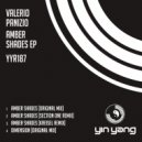 Valerio Panizio - Amber Shades (Section One Remix)