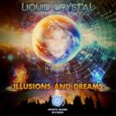 Liquid Crystal - Quantum Dragonfly On Magnetic Fields