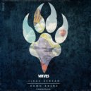 Ilkay Sencan & Dawn Ahenk - Waves (Original Mix)