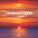 Mr. Vasovski feat. Márk Járai - Cinnamon Lights (Extended Instrumental Mix)