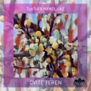 NykoLuke & Tun Tul - Cvite Teren