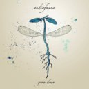 audiafauna & The Album Leaf - Feathers (feat. The Album Leaf) ()