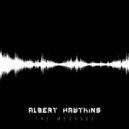 Albert Hawtkins, Luizhi S - Covenant (Original Mix)