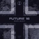 Future 16 - At The End (Original Mix)