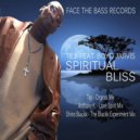 Teji feat. Boyd Jarvis - Spiritual Bliss (The Shino Blackk Experiment)