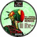 Ray Marshall - Norwood (Tuum Pau\' Mo) (Wyrus Remix)