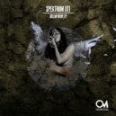 Spektrum (IT) - Wonderba (Original Mix)
