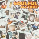 Soulful Nature - Lowdown (Original Mix)