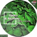 Lipous - Sharp (Original Mix)