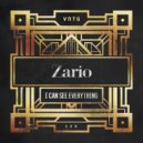 Zario - I Can See Everything (Radio Edit)