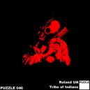 Roland UA - Pixels (Original Mix)
