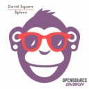 David Square - Chicken Trip (Original Mix)