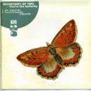 Dichotomy Of Two - You Are The Butterfly