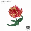 Kunkel & Moog - Expression (Original Mix)