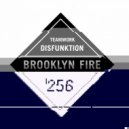 Disfunktion - Teamwork