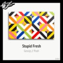 Stupid Fresh - Push (Original Mix)