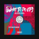 Stefano Polimeno - What To Do (Gustaff Remix)