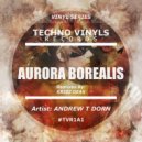 Andrew T Dorn - Aurora Borealis