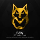 Veljko Jovic - Raw
