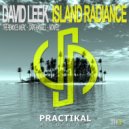 David Leek - Island Radiance (Merc Remix)