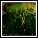 Gianluca Pellerano - Rocket In The Snow (Original Mix)