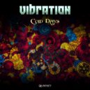 Vibration - Slow Down