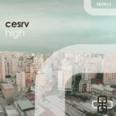 Cesrv - The Joints