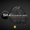 SiLi feat. Colour of Rice - Not The One (Original Mix)