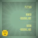 P.I.T.O.N - Ruido