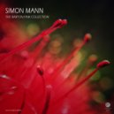 Simon Mann - Silver Lines