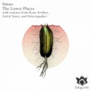 Simao - The Lower Places