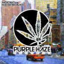 Moicano - Acid Brainwash (Original Mix)