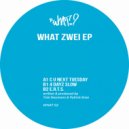 Tobi Neumann, Patrick Ense - 4 Dayz Slow (Original Mix)