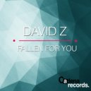 David Z - Fallen For You (Sirdjey Remix)