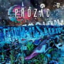 Prozac - Inmersion