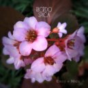 Ricrdo - Sorglegt