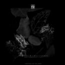 Maccaaria - Tsbsqfllmsrcplg