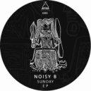 Noisy B - Lost