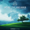Spectro Senses & Synthetic Vision - Encode Message (Original Mix)