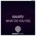 Naarv - What Do You Feel