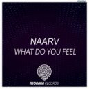 Naarv - What Do You Feel (Original Mix)