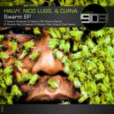 Halvy, Nico Luss, Curva - Swarm