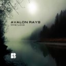Avalon Rays - Don\'t Cry (Original Mix)