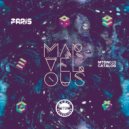 Faris - Sponger (Original Mix)