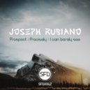 Joseph Rubiano - I Can Barely See
