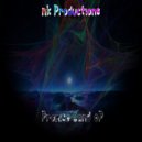 Nk Productions - Promise Land (Original Mix)