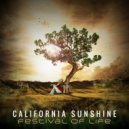 California Sunshine - What Happened