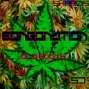 Bongonation - Habitat