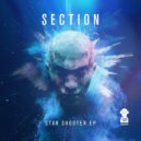 Section - Puzzle