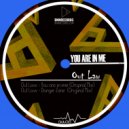 Out Law - Danger Zone